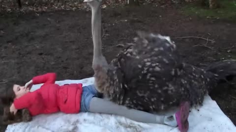 Dangerous Animals Caught Being Friendly !