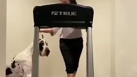 Getting that daily exercise in !!