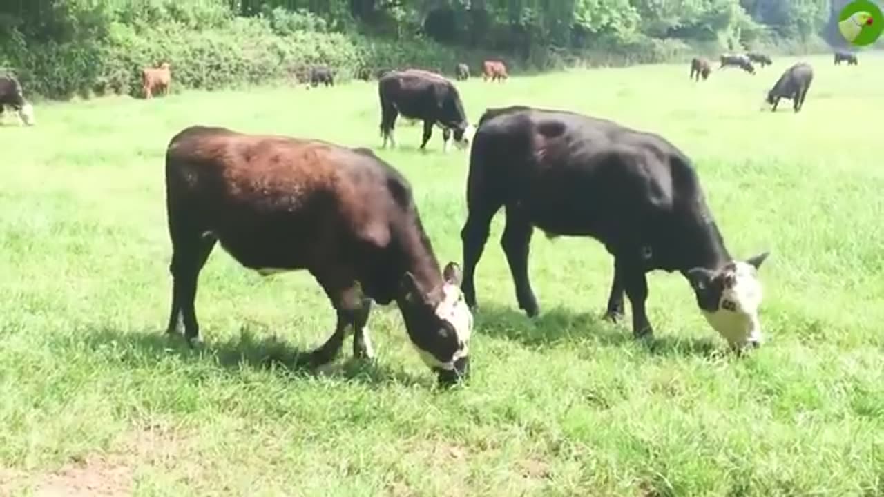 laugh it out load Part 2