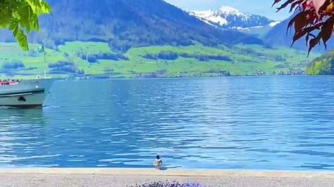Travel is not wandering the world,
