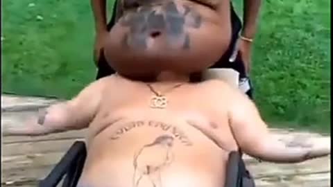 Kung-fu monkey funny video | zilli video