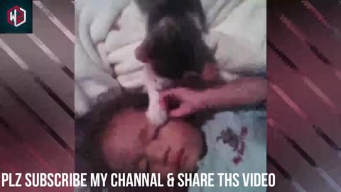 Here’s What It Really Means When Your Cat Curls Up With You For Cuddles