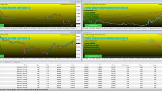 FOREX ROBOT HIGH VOLUME INVESTOR