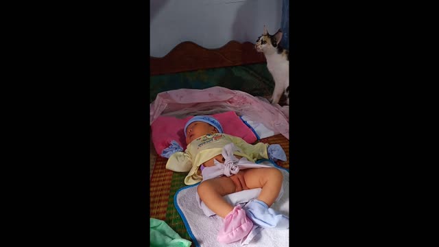 heard me crying and jumped up to look at me immediately