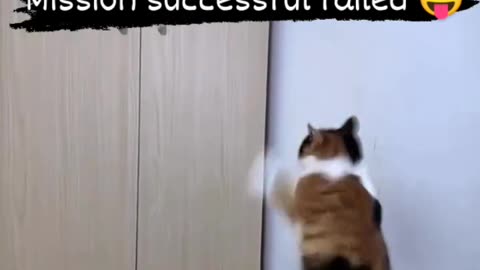 Mission Impawsible