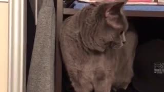 Watch until the end!
