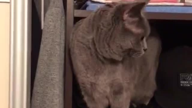 Watch until the end!