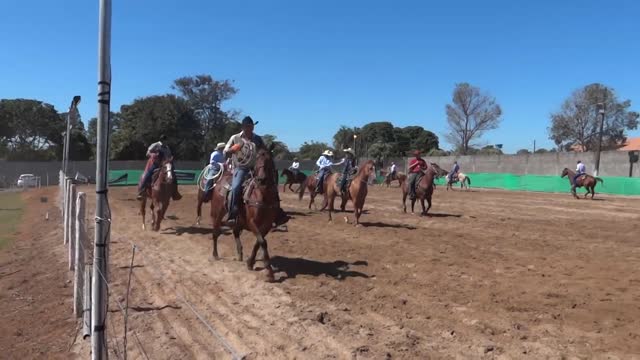 Team roping Goianésia Agricultural Exhibition.