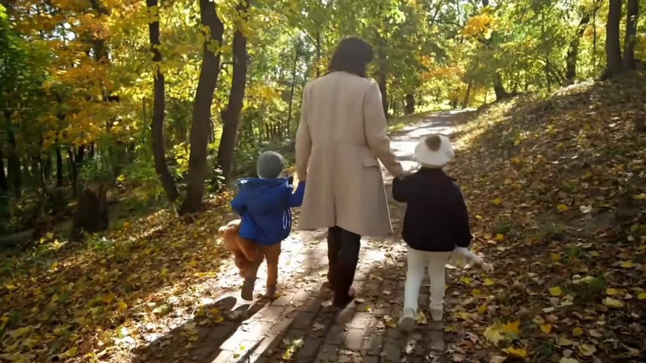 Zodiac Taurus 2023 November 15