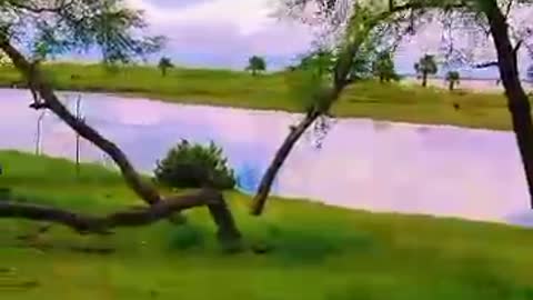 আমাদের সৌন্দর্য আমরা প্রাকৃতিক মাঝে দেখতে পাই#####