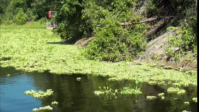 Bonito MS - Dez. 2022 (parte 3)