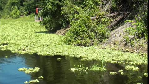 Bonito MS - Dez. 2022 (parte 3)