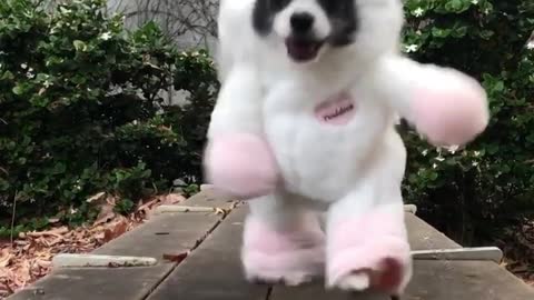‪I never knew how much I needed a pom-icorn in my life 😉🦄🌈