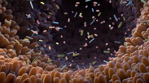 The CHIA SEED Life in Your Digestive System…Heart, Arteries, Insulin Resistance, Obesity, Cancer!