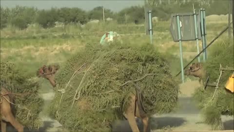On the road of Afghanistan - ISAF troop