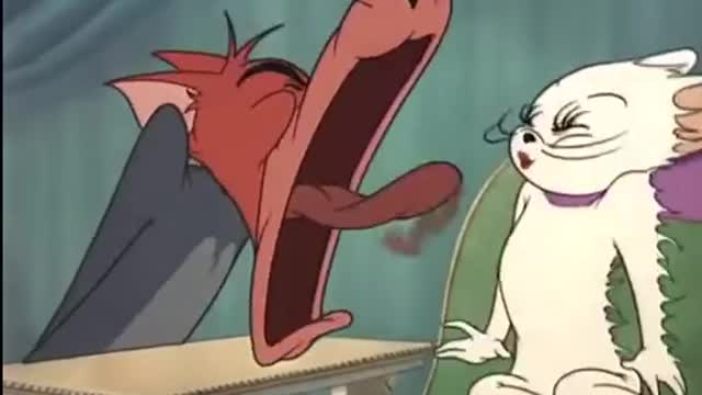 Tom and Jerry funny moments