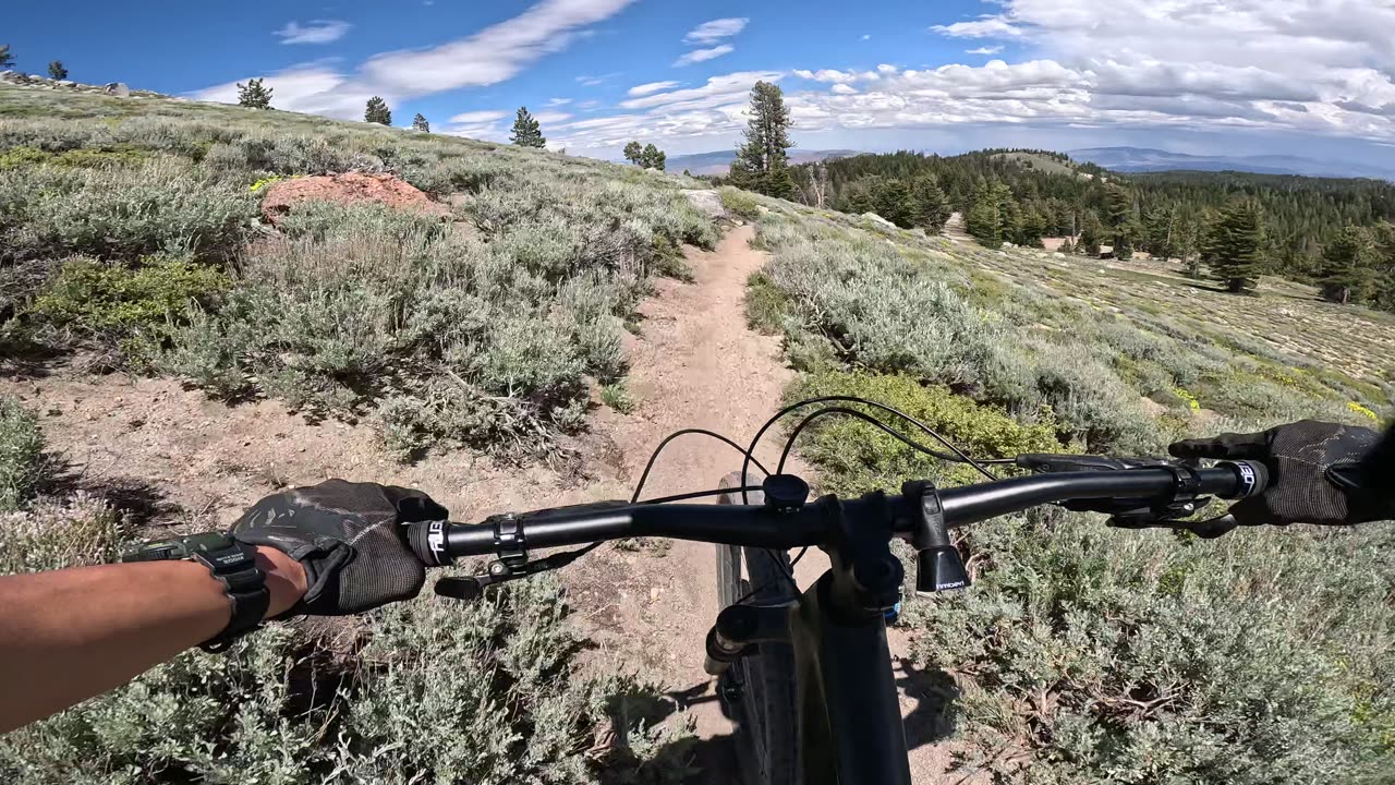 [MTB] Tahoe Rim Trail at Marlette Peak; Part 2 (Lake Tahoe, NV)