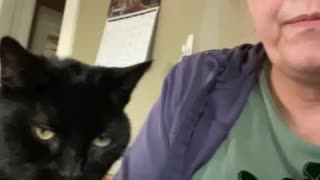 Bella being Bella