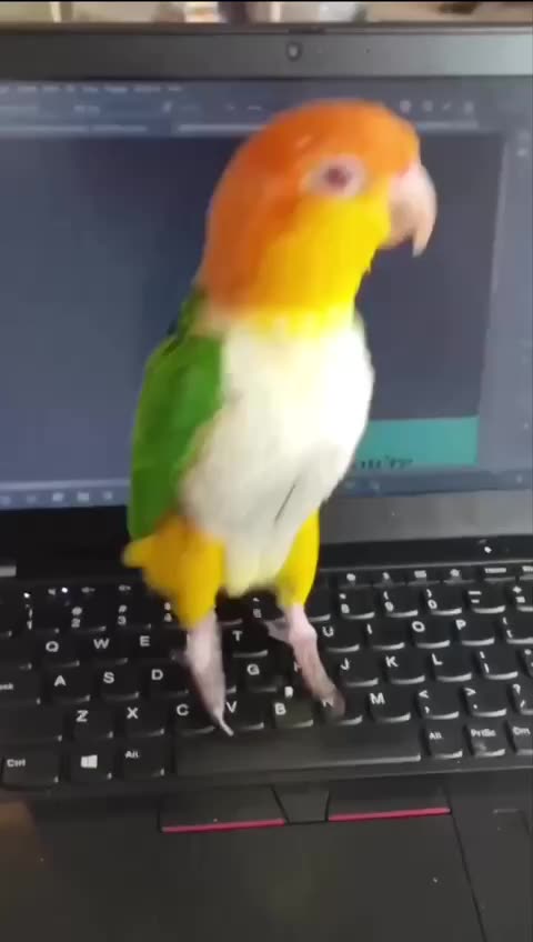 Spring in its steps 🤣🤣😍😍