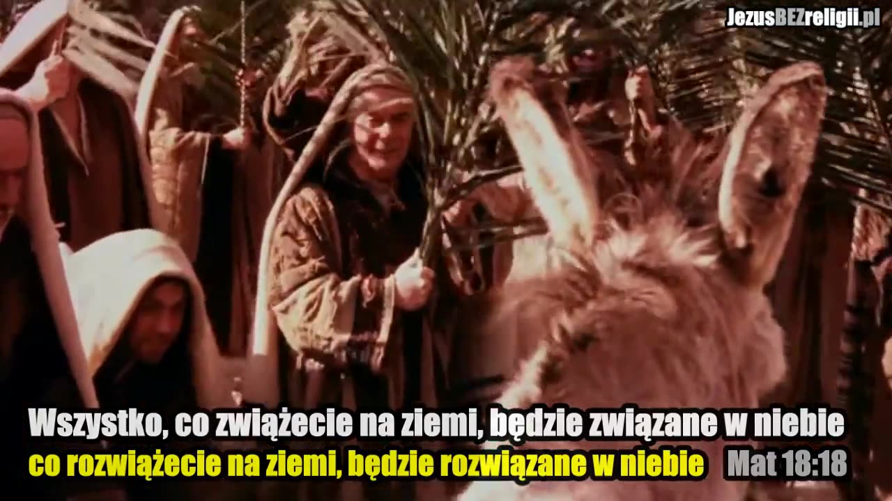 Przestań być głupim osłem!!