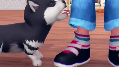 🍖 Rich Dog vs 🦴 Poor Dog | Scary Teacher 3D Funny Game