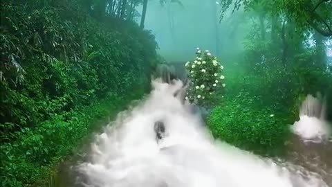 A beautiful senario