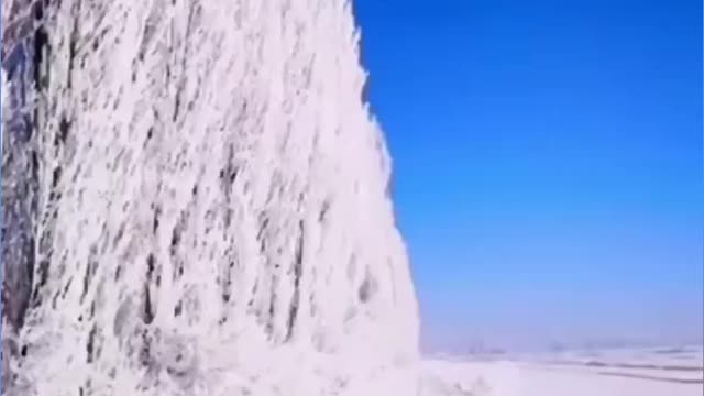 Good morning 🌻🌄