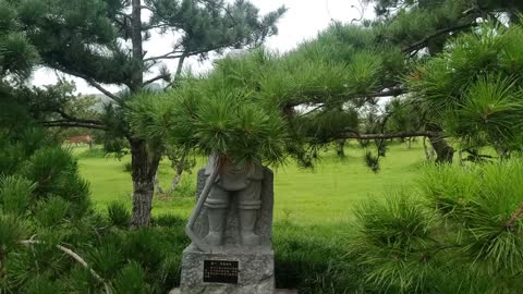 The soldier is hiding in the bushes