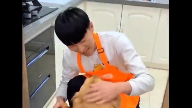 The smart dog did the shopping from the market alone | funny and smart dog Compilation.