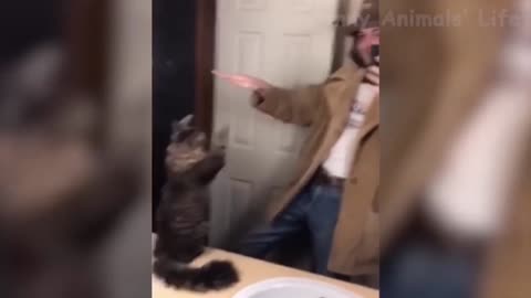 Dancing Singing CAT