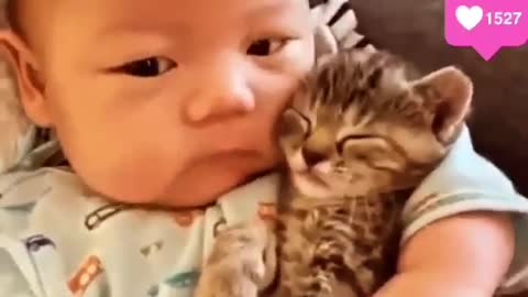 Adorable baby and cat love to sleep together