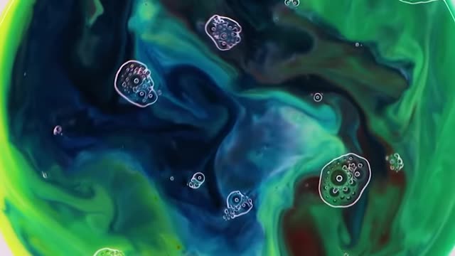 Have a look at science in action!