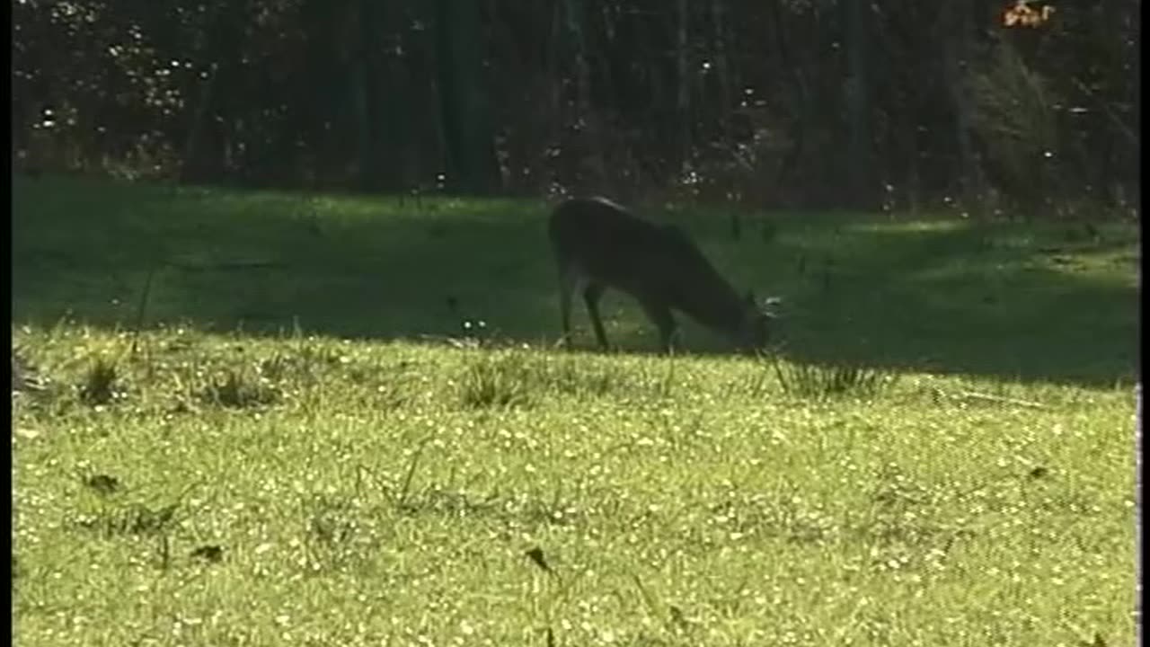 Outdoor University - Episode 19 - Scentite And Mossy Oak Deer Hunt
