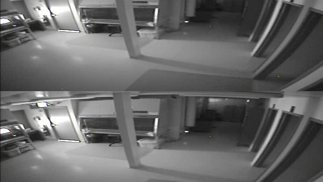 1702CRIB01CribAnalysisArea_2021-01-06_09h20min02s633ms.mp4