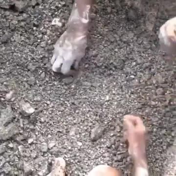 CHILDREN FORCED INTO LABOR FOR COBALT.