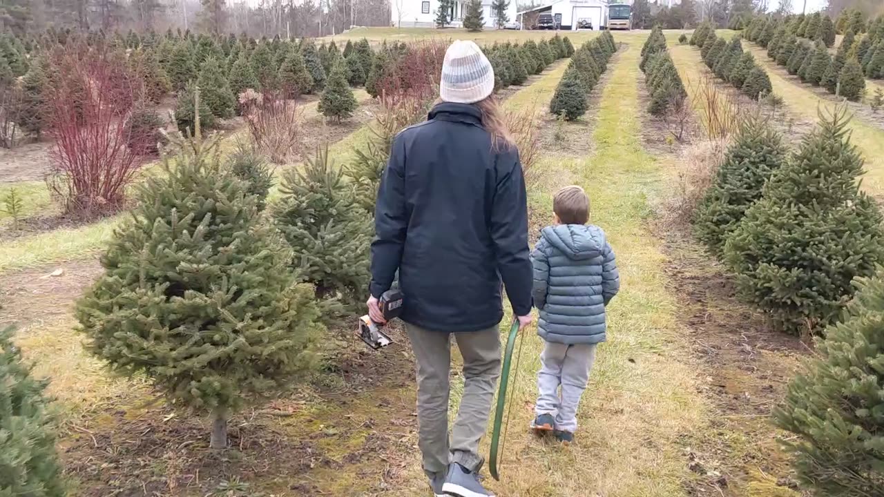 Tree hunting