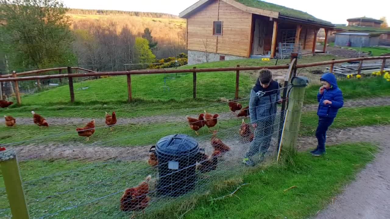 Nairn Scotland🦄Caravan 🚐Family Fun Week~Laikenbuie Farm Highlands/Kemping na szkockiej farmie 🐓🐑