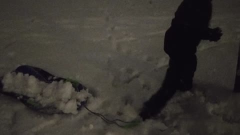 Playing in the snow 1