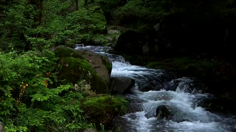 Mudunsan National Park 2016