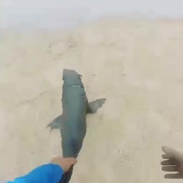 An act of Kindness ️