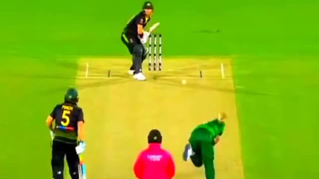 cricket fans-video cricket lovers-video #cricket #cricketlover