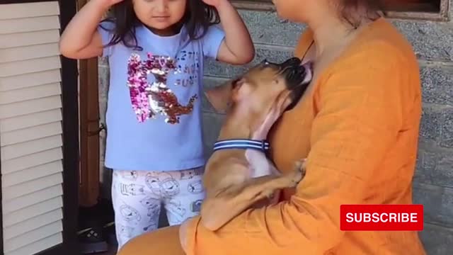 Baby Dogs is Fond of a Women || Dog Protects Pregnant Women