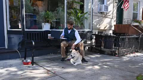 Dog with me playing