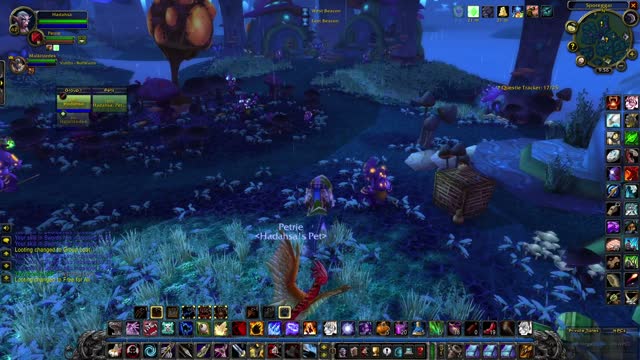 Hunter/Priest duo killing the swamp creatures and leveling up to 63