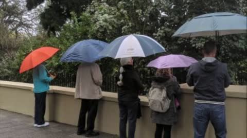 The Umbrella People at Government House - Sunday 28th August 2022 👨‍👩‍👧‍👦⛱👨‍👩‍👧‍👦☂️👨‍👩‍👧‍👦☔️