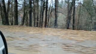 Oregon Highway 22 devastation