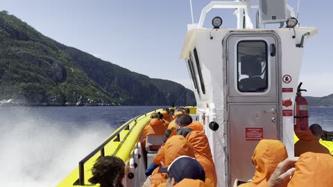 Whale Watching Near Disaster - Viva Family Explores Quebec!
