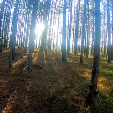 Kremna. - Rock Mystery Tour (Short)