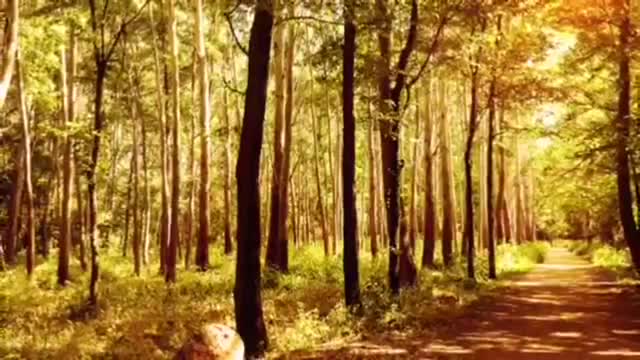 Time with God - December 27