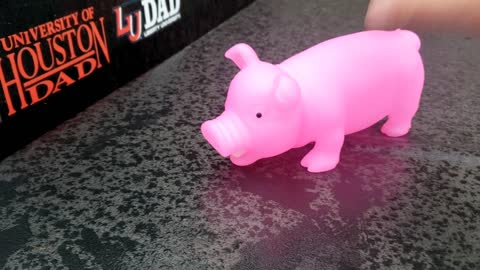 LiviPig Goes to Work